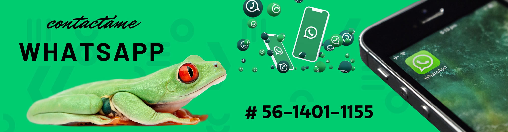 dpo-contacto-2048x533