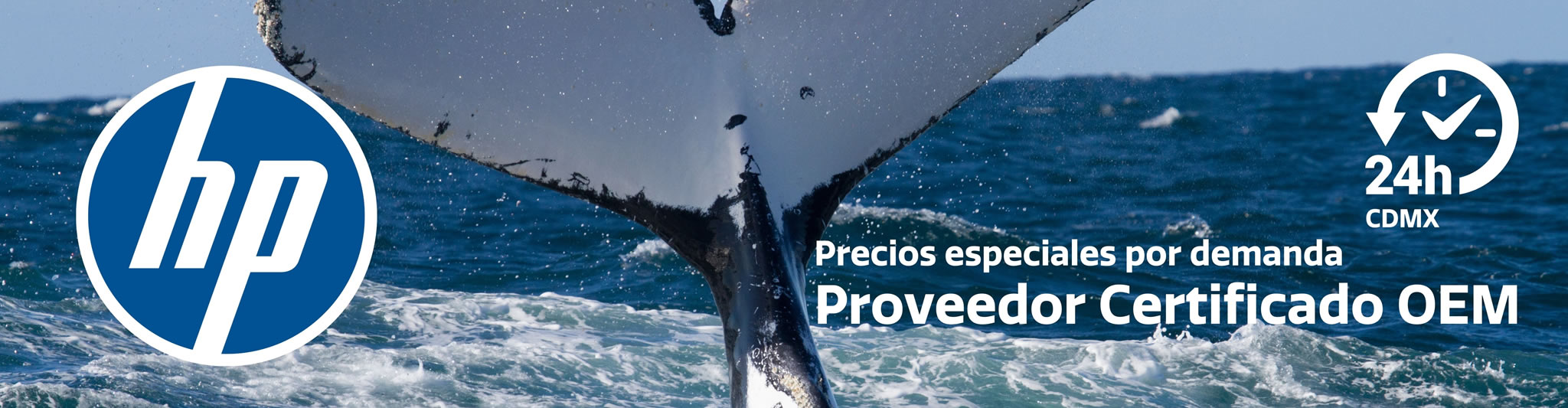 dpo-garantia-2048x533